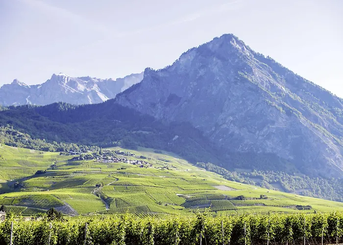 Des Bains De Saillon